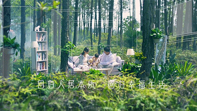 江西奇信